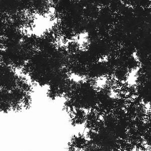 13禁🍆🍑🔞❌❌❌欧关
